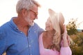 Loving Mature Couple In Countryside Hugging Against Flaring Sun Royalty Free Stock Photo