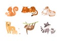 Loving mom animals hugging cubs set. Cute parent and baby animal. Families of squirrel, tiger, dog, capybara, racoon