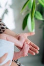 Loving mother holding tiny feet of newborn in hand near houseplant at home on sunny day. Maternity, motherhood concept. Royalty Free Stock Photo