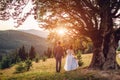 Loving newlyweds couple walking in mountains at sunset. Groom and bride enjoy landscape under tree. Wedding Royalty Free Stock Photo