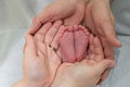 loving parents hands holding a their baby's feet Royalty Free Stock Photo