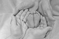 loving parents hands holding their baby's feet Royalty Free Stock Photo