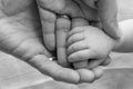 loving parents hands joined with their baby's Royalty Free Stock Photo