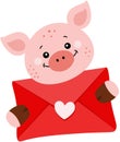 Loving pig holding a valentine letter envelope Royalty Free Stock Photo