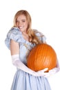 Loving the pumpkin Royalty Free Stock Photo