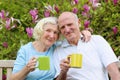 Loving senior couple drinking tea in the garden Royalty Free Stock Photo