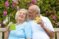 Loving senior couple drinking tea in the garden Royalty Free Stock Photo