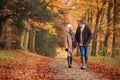 Loving Senior Couple Holding Hands As They Walk Along Autumn Woodland Path Through Trees Together Royalty Free Stock Photo