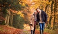 Loving Senior Couple Holding Hands As They Walk Along Autumn Woodland Path Through Trees Together Royalty Free Stock Photo