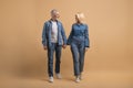 Loving senior couple holding hands and walking Royalty Free Stock Photo