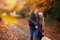 Loving Senior Couple Walking With Pet Golden Retriever Dog Along Autumn Woodland Path Through Trees Royalty Free Stock Photo