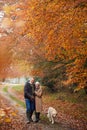 Loving Senior Couple Walking With Pet Golden Retriever Dog Along Autumn Woodland Path Through Trees Royalty Free Stock Photo