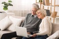 Loving senior couple websurfing on laptop computer