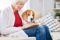 Loving Senior Woman Reading with Dog Royalty Free Stock Photo