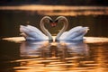 loving swans forming a heart shape on a serene lake