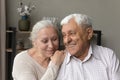Loving wife and grey-haired husband smiling hugging indoor Royalty Free Stock Photo