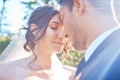 Loving young couple enjoying romantic moments on their wedding day. Newlywed couple touching foreheads on a sunny day in Royalty Free Stock Photo