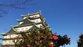 Lovely and wonderful nagoya Castel in Japan Royalty Free Stock Photo