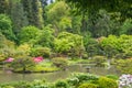 Spring Landscape of Japanese Garden with Pond, Stone Lantern, and Wooden Gate in the background. Royalty Free Stock Photo