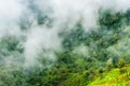 Low altitude clouds over the green forest mountain Royalty Free Stock Photo