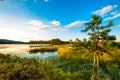 low angel view over a seascape in Sweden