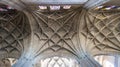 Low angle of the ancient architecture ceiling of Cathedral of Segovia in Spain Royalty Free Stock Photo