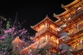 Low angle of a blooming tree against a Buddhist temple illuminated at night Royalty Free Stock Photo