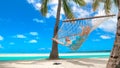 LOW ANGLE: Cheerful young woman relaxing under the palms in the comfy hammock. Royalty Free Stock Photo