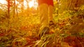 LOW ANGLE: Cinematic shot of girl in boots running in the fall colored woods. Royalty Free Stock Photo