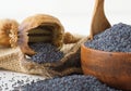 Low angle close-up of dry poppy seed pods with ripe poppies. Royalty Free Stock Photo