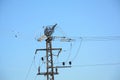 Low angle close-up view of the top part of an electricity distribution pylon and power lines under blue sky Royalty Free Stock Photo