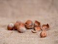 Low angle closeup of hazelnuts on hessian, jute. Differential focus for blurry background effect and copyspace.