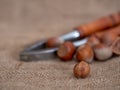 Low angle closeup of hazelnuts and nutcrackers on hessian, burlap. Differential focus for blurry background effect-