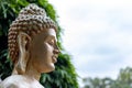 Low angle closeup shot of a buddha statue face with bamboo trees in the background. Focus concept Royalty Free Stock Photo