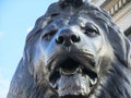 Low angle closeup shot of a lion statue in Trafalgar Square, Westminster, Central London, UK