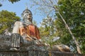 Low Angle Front Right Meditation Buddha Statue in Forest