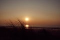 Low-angle of grass silhouette at sunset against sky with shining sun in the horizon Royalty Free Stock Photo