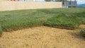 LOW ANGLE: Grass tiles get thrown on soil ground in backyard under construction. Royalty Free Stock Photo