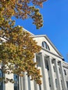 Low angle of green trees against Littauer Center of Public Administration in Cambridge,Massachusetts