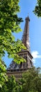 Low-angle of the iconic Eiffel Tower as seen through a lush canopy of trees