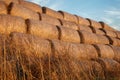 Low angle image - golden bundles of hay in the sunset light, blue summer sky in the background Royalty Free Stock Photo