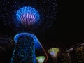 A low angle of majestic Supergrove trees in Singapore Gardens by the Bay at night