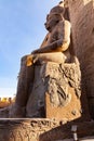 Low angle morning view of the statue of Pharaoh Ramses II Royalty Free Stock Photo