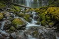 Low Angle of Mossy Rocks at Proxy Falls Royalty Free Stock Photo