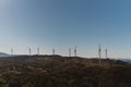 Low-angle of Parque Eolico do Pisco with many windmills clear sunlit sky background
