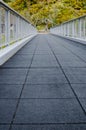 Low Angle Perspective of Empty Foot Bridge - vertical. Royalty Free Stock Photo