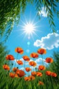 Low-angle perspective of a glittery summer scene, highlighting a cluster of vibrant orange poppies Royalty Free Stock Photo