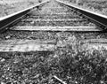 Railroad tracks in black and white low angle Royalty Free Stock Photo