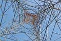 Low angle POV shot of a Transmission Tower against blue sky in Conventional power concept Royalty Free Stock Photo