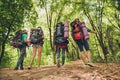 Low angle rear view of four tourists, walking in autumn forest,